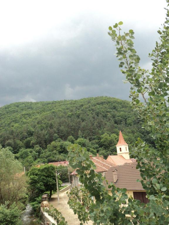 Pensiunea Irina Tilisca Exterior photo